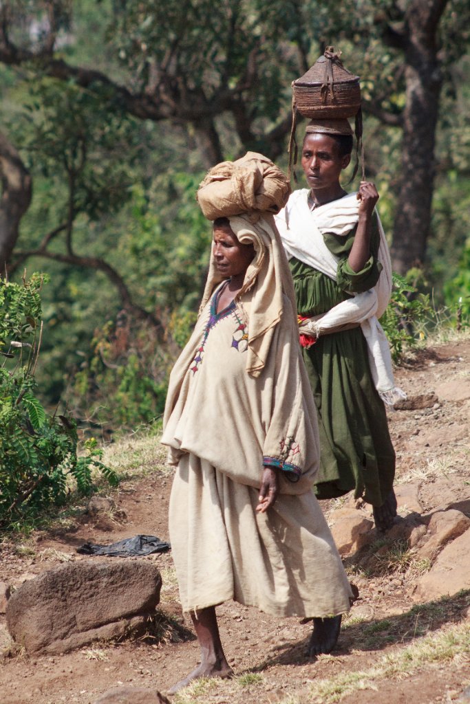 35-On their way to the market.jpg - On their way to the market